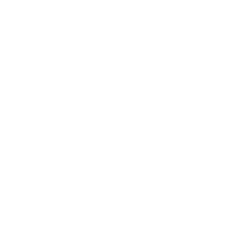 Logo-footer